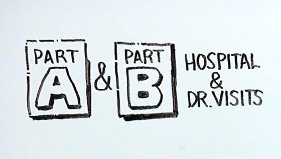 basics of medicare video image