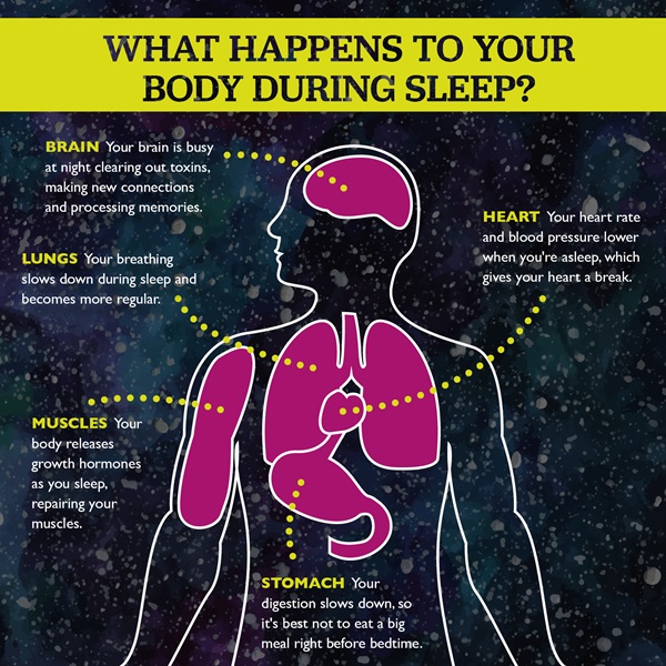 Blog sleep infographic