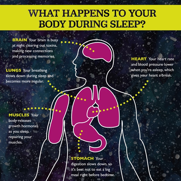 Sleep Michigan Health Insurance HAP sleep-michigan-health-insurance-hap